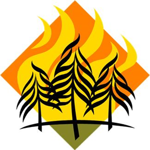 Pericolosità incendi boschivi