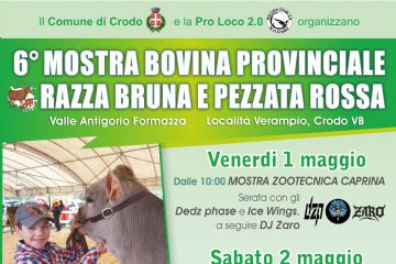 Locandina della 6° Mostra Bovina Provinciale Razza Bruna e Pezzata Rossa Valle Antigorio Formazza