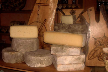 Sfoglia la galleria